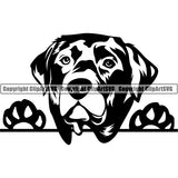 Labrador Retriever Peeking Dog Breed ClipArt SVG 004