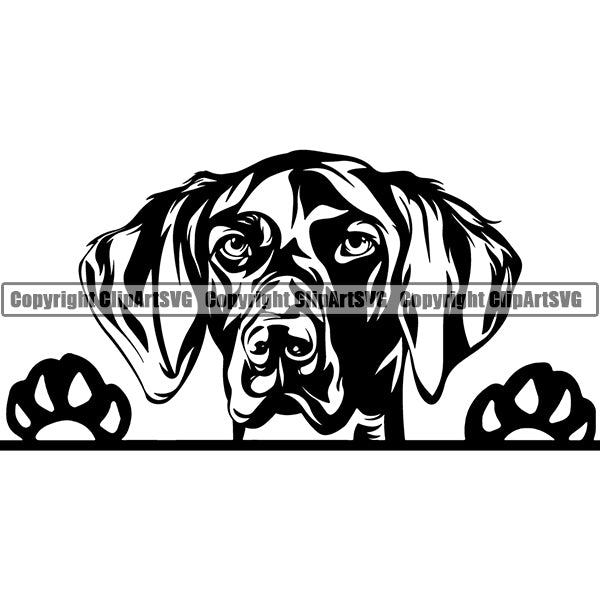 German Shorthaired Pointer Peeking Dog Breed ClipArt SVG 003
