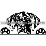 German Shorthaired Pointer Peeking Dog Breed ClipArt SVG 003