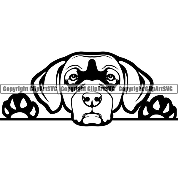 Chesapeake Bay Retriever Peeking Dog Breed Clipart SVG