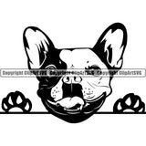 French Bulldog Peeking Dog Breed ClipArt SVG 005