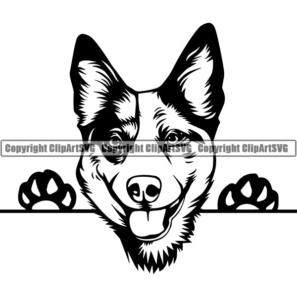 Australian Cattle Peeking Dog Breed Clipart SVG 001
