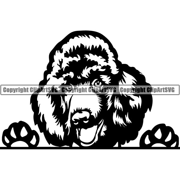 Poodle Peeking Dog Breed ClipArt SVG 009
