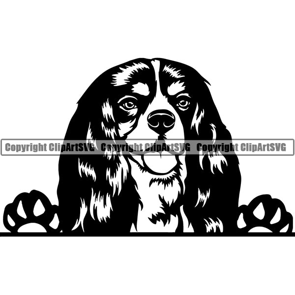 Cavalier King Charles Spaniel Peeking Dog Breed Clipart SVG 003