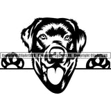 Labrador Retriever Peeking Dog Breed ClipArt SVG 010