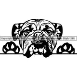 English Bulldog Peeking Dog Breed ClipArt SVG 009