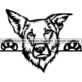 Chinook Peeking Dog Breed Clipart SVG