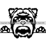 Affenpinscher Peeking Dog Breed Clipart SVG