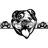 English Bulldog Peeking Dog Breed ClipArt SVG 002