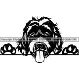 Labradoodle Peeking Dog Breed ClipArt SVG 003