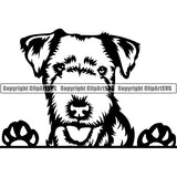 Lakeland Terrier Peeking Dog Breed ClipArt SVG