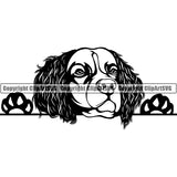 English Springer Spaniel Peeking Dog Breed ClipArt SVG 009