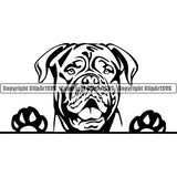 Dogue De Bordeaux Peeking Dog Breed ClipArt SVG 005
