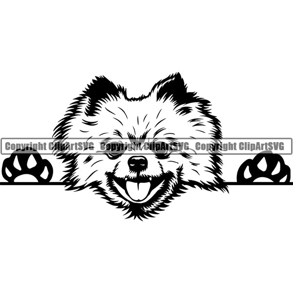 Pomeranian Peeking Dog Breed ClipArt SVG 007