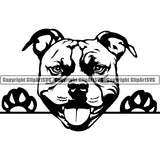 Pit Bull Peeking Dog Breed ClipArt SVG 009