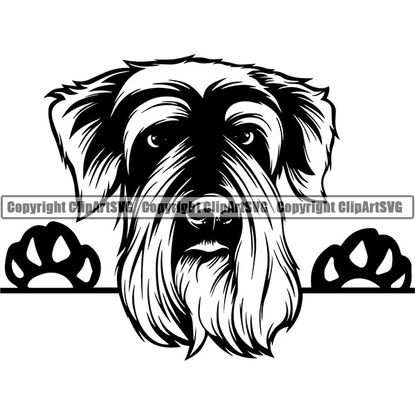 Soft Coated Wheaten Peeking Dog Breed ClipArt SVG