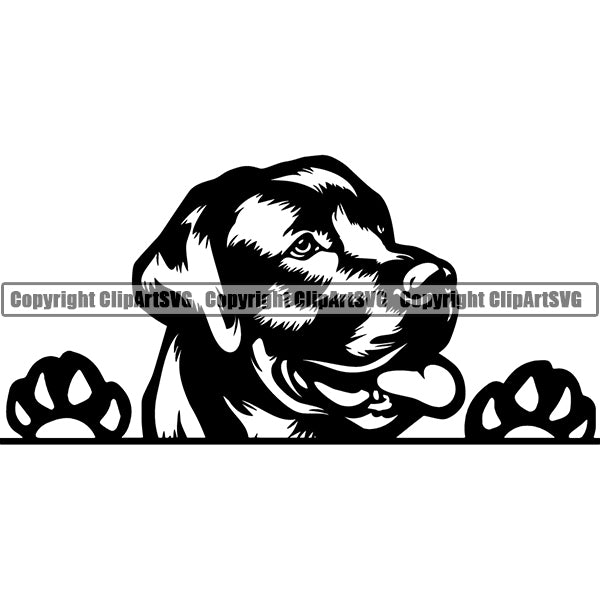Labrador Retriever Peeking Dog Breed ClipArt SVG 009