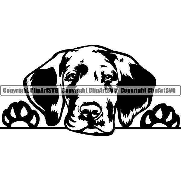 Great Dane Peeking Dog Breed ClipArt SVG 003