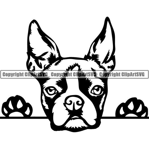 Boston Terrier Peeking Dog Breed Clipart SVG 001
