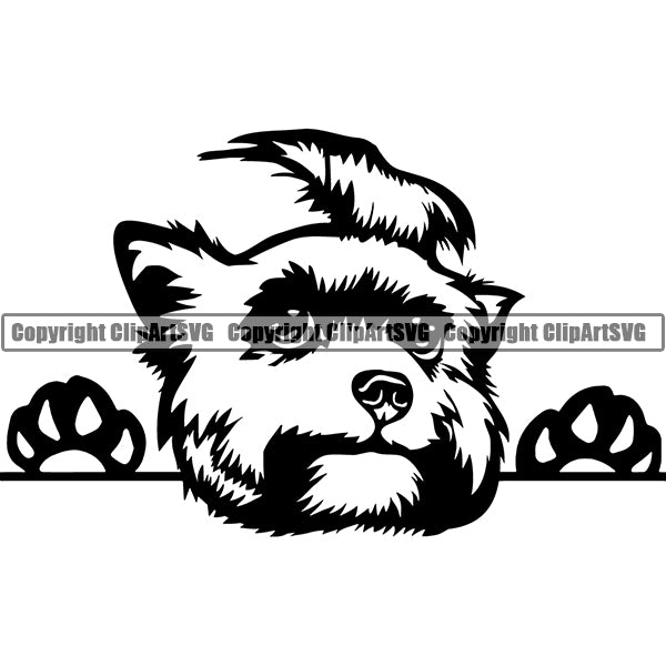Yorkshire Terrier Peeking Dog Breed ClipArt SVG 001