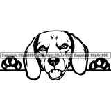 Beagle Peeking Dog Breed Clipart SVG 005