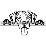 Rhodesian Ridgeback Peeking Dog Breed ClipArt SVG 004