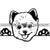 Pomeranian Peeking Dog Breed ClipArt SVG 009