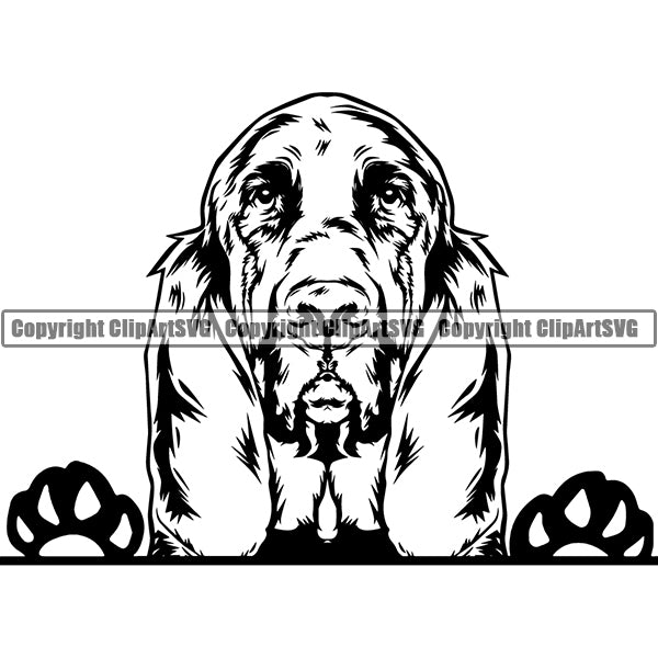 Bloodhound Peeking Dog Breed Clipart SVG 003