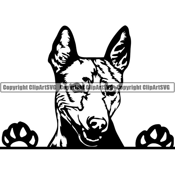 Thai Ridgeback Peeking Dog Breed ClipArt SVG 001