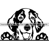 Welsh Springer Spaniel Peeking Dog Breed ClipArt SVG