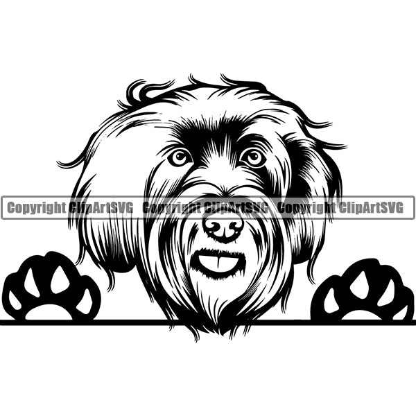 Labradoodle Peeking Dog Breed ClipArt SVG 002
