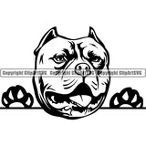 Pit Bull Peeking Dog Breed ClipArt SVG 019