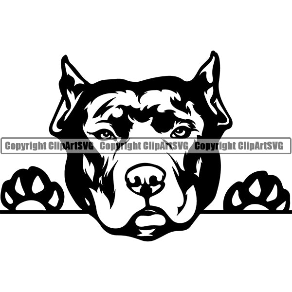Pit Bull Peeking Dog Breed ClipArt SVG 007