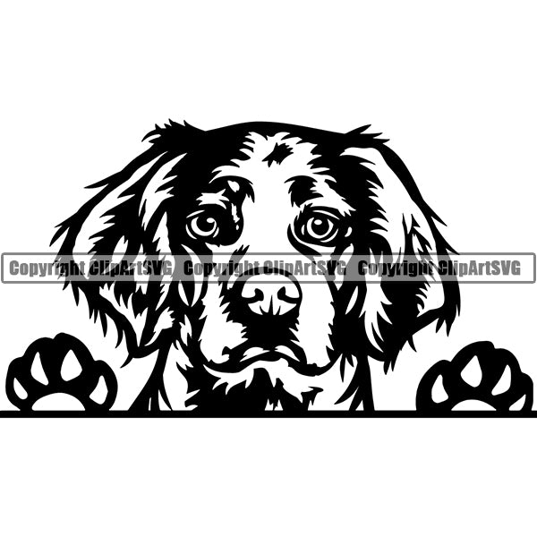 Brittany Spaniel Breed Head Face Clipart SVG 004