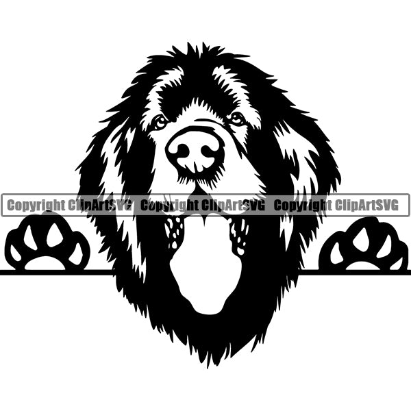 Newfoundland Peeking Dog Breed ClipArt SVG 003