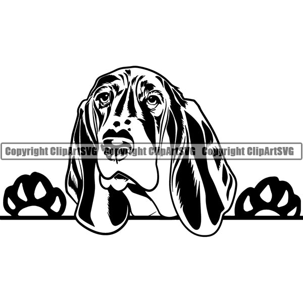 Basset Hound Peeking Dog Breed Clipart SVG 001
