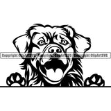 Golden Retriever Peeking Dog Breed ClipArt SVG 007