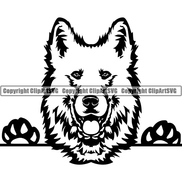 Berger Blanc Suisse Peeking Dog Breed Clipart SVG