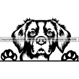 Brittany Spaniel Breed Head Face Clipart SVG 001