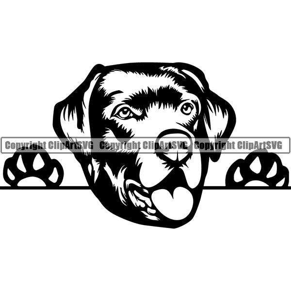 Labrador Retriever Peeking Dog Breed ClipArt SVG 008