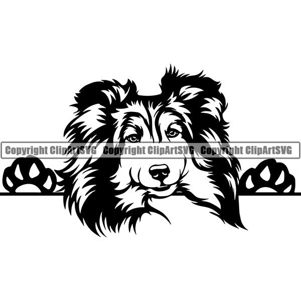 Shetland Sheepdog Peeking Dog Breed ClipArt SVG 003