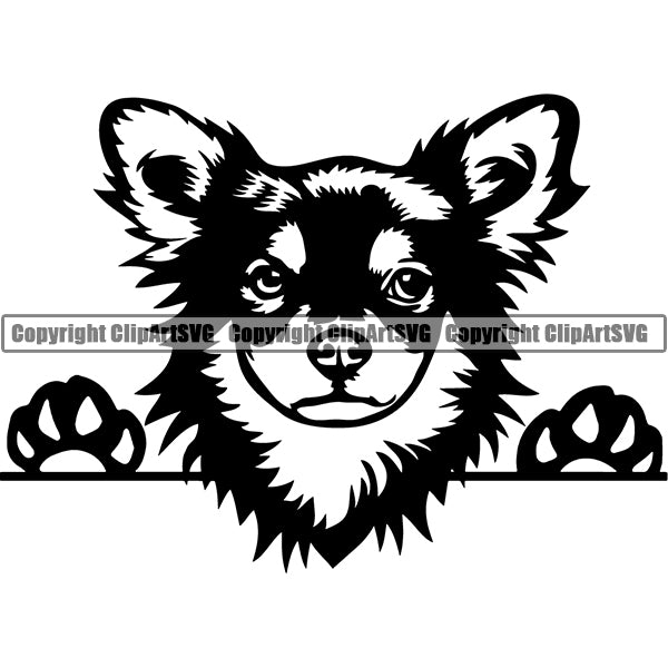 Chihuahua Peeking Dog Breed Clipart SVG 010