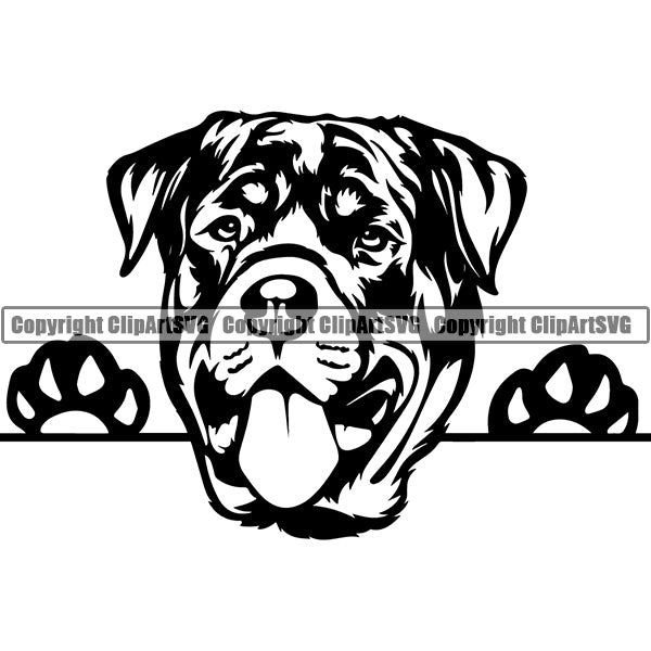 Rottweiler Peeking Dog Breed ClipArt SVG 008