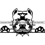 Pit Bull Peeking Dog Breed ClipArt SVG 005