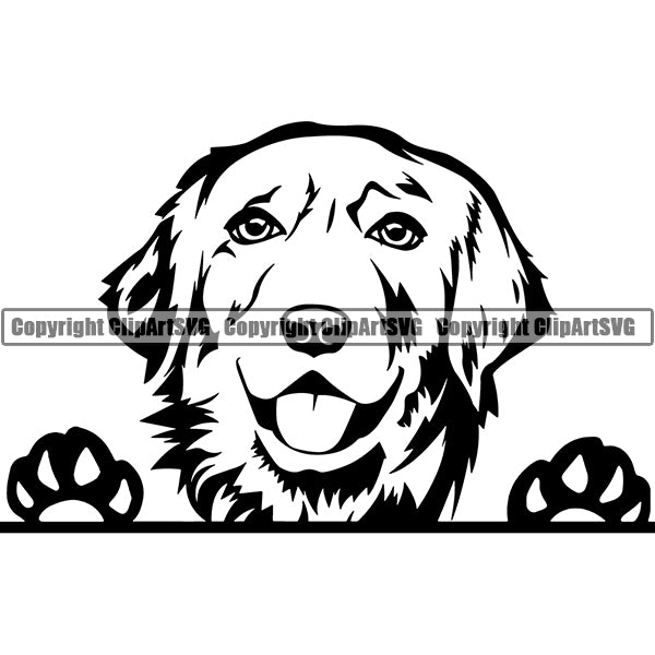 Golden Retriever Peeking Dog Breed ClipArt SVG 002