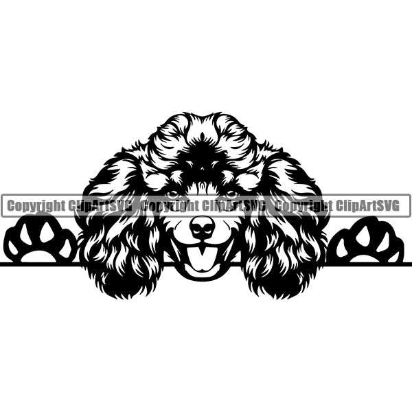Poodle Peeking Dog Breed ClipArt SVG 003