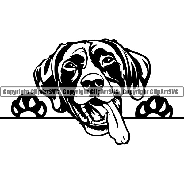German Shorthaired Pointer Peeking Dog Breed ClipArt SVG 001