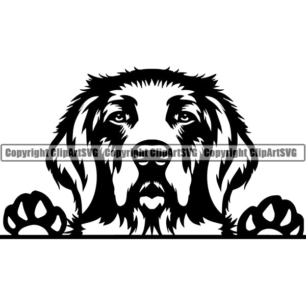 Golden Retriever Peeking Dog Breed ClipArt SVG 003