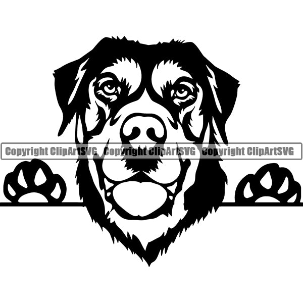 Swiss Mountain Peeking Dog Breed ClipArt SVG