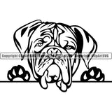 Dogue De Bordeaux Peeking Dog Breed ClipArt SVG 006